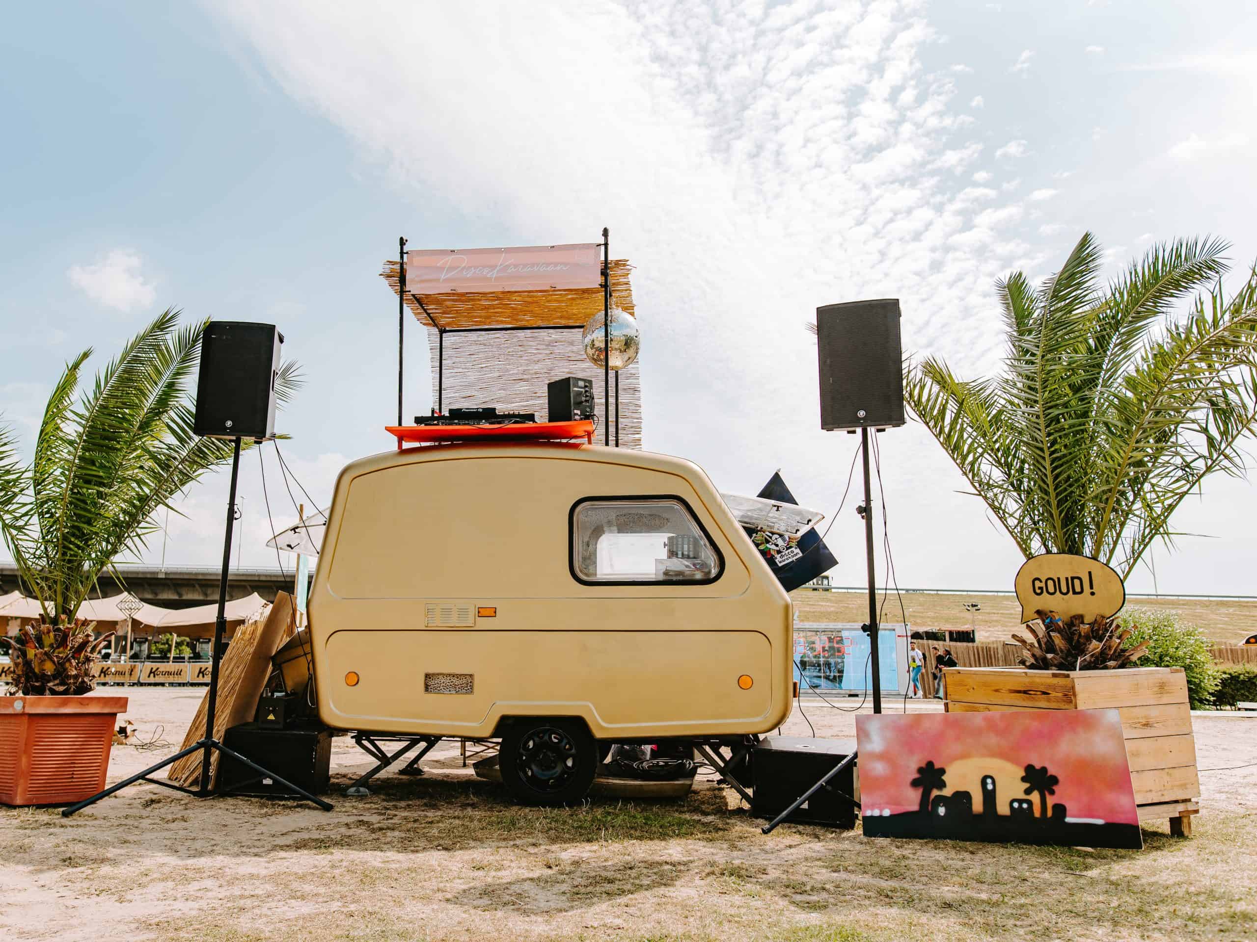 Palm huren? Ananaspalm Phoenix Canariensis op uw evenement of festival