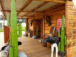 Country Western Decoratie - Van Straalen - Planten, Bomen en Decor Verhuur